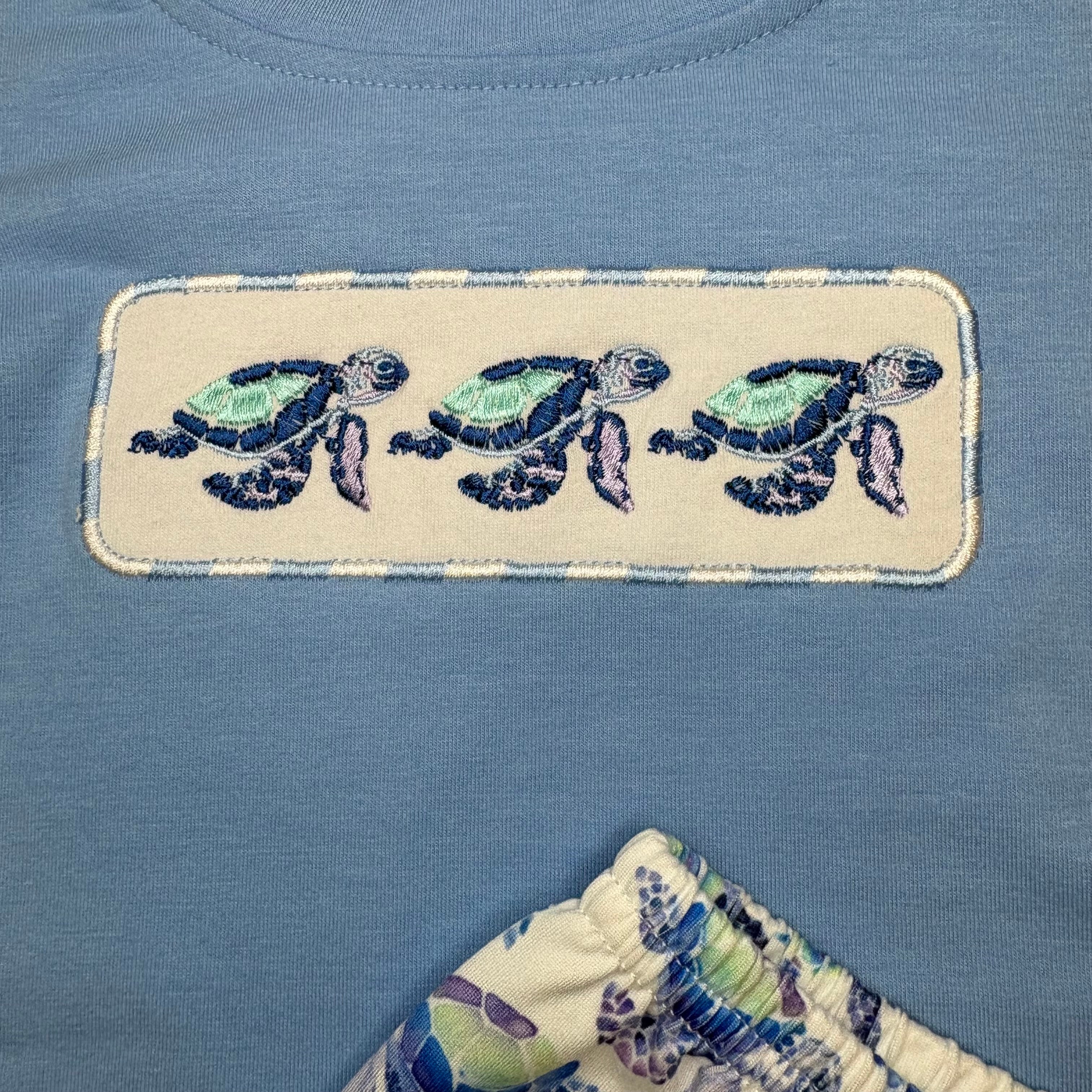 Sea Turtle 2 pc