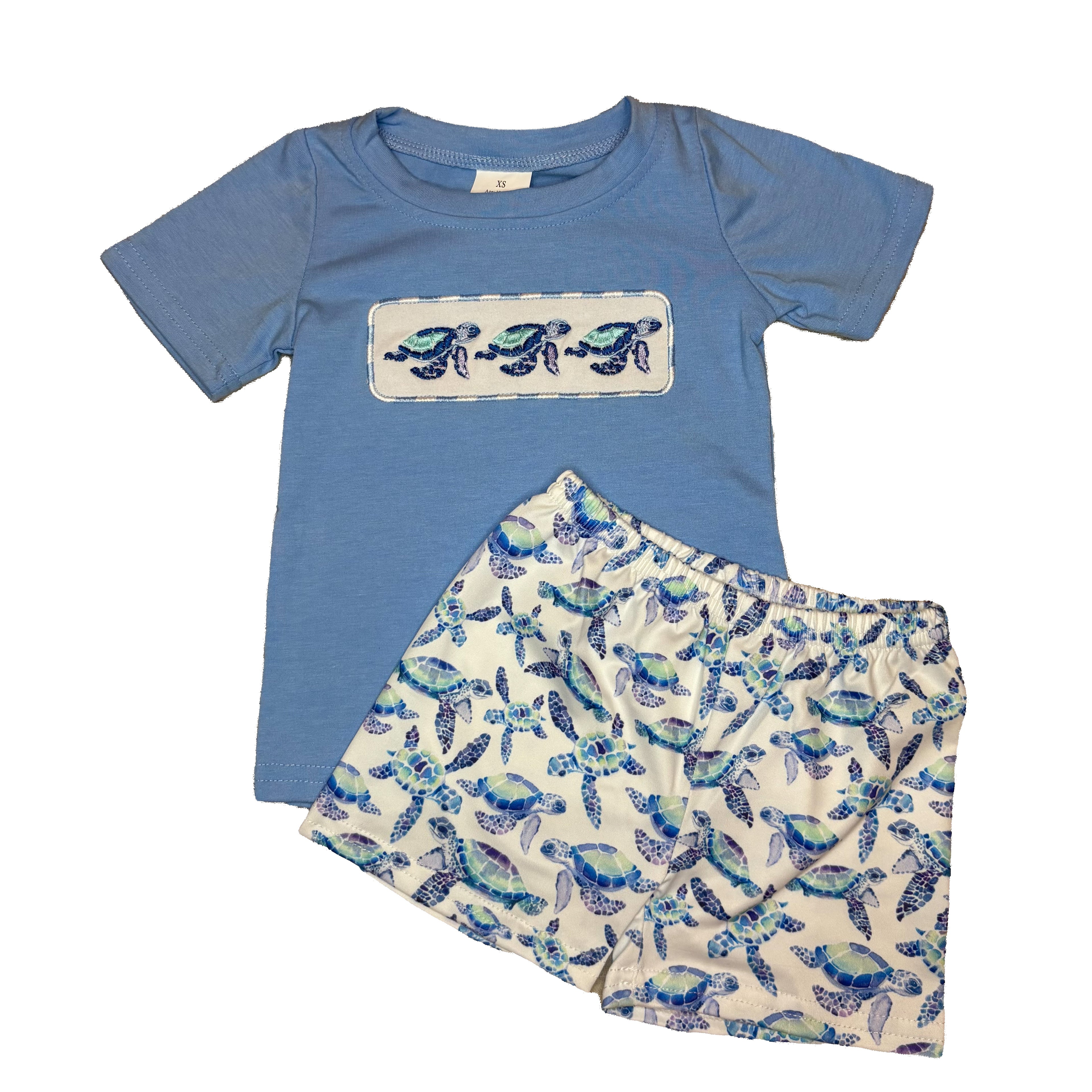 Sea Turtle 2 pc